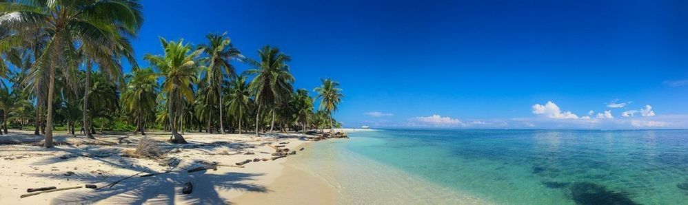 A pristine beach on an island in San Blas, Panama