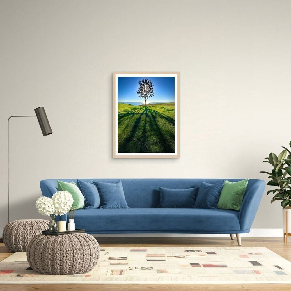 Lone Cypress tree on a golf course at sunset