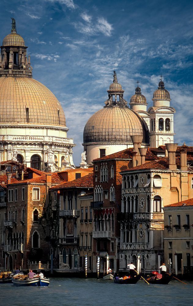 Iconic Venice Domes and Canal