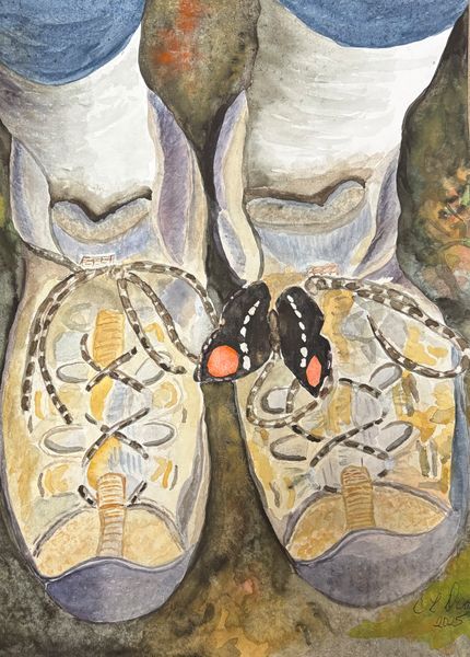 Butterflies