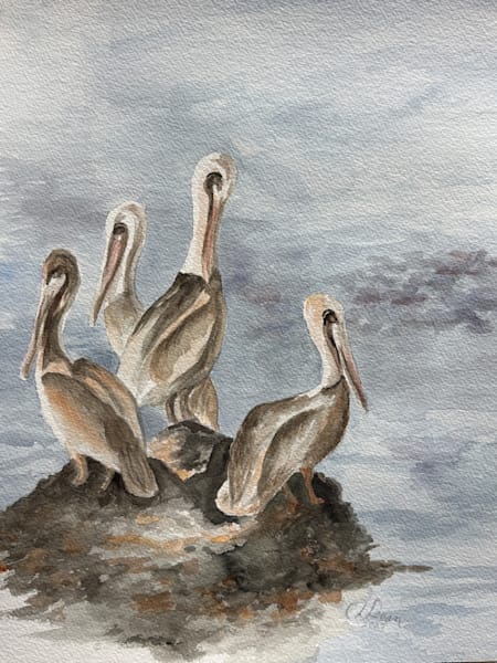 Birds and Animals