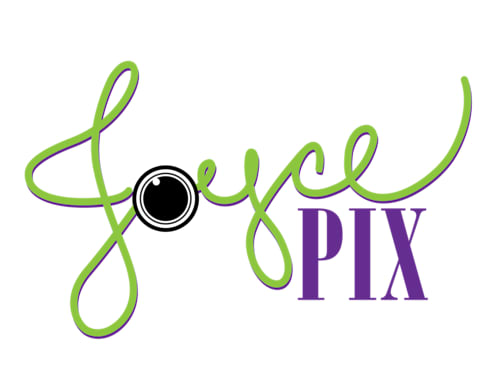 Joyce Pix