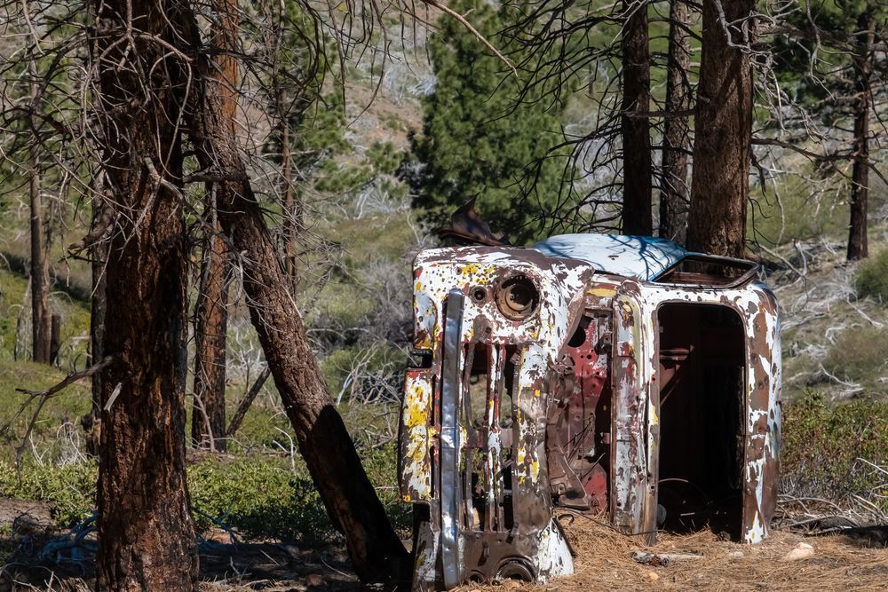 Spicoli Flip - abandoned vehicle 
