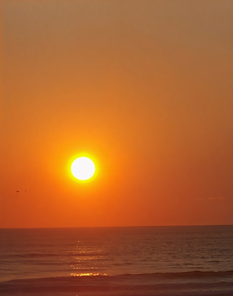Seascapes