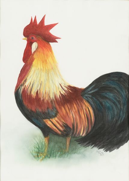 June Bell Artist | Shop Art
