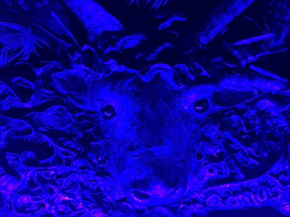 Mdawmdawmdawmdaw7qgraepd6cacehr zcfbfywxu2fyveayeunrgwctqqqltnerwweter6yomfiojy24adow ljj7f22f2vd2s3k0fn 38ezqodftc2xeuhdjufahdziomokxodj3hs jg da6ji5eudq olwagpj5emn40jy dn4cnug61nkypuzcpq3q1j ojp9hbu  bqokawyz7nkpkgalmqe  eot1ygxvtfi dus5t0flpv68luyiuz43eitwzl98nzy fw5mk8ilx8xircyt5zrftcbrqq5 j 0s ekghoye qhhay2m691bpkmiwl1xxhbe9pnuudmgcjayh5dyvl7wpnfjadyuwrxb8muf9m8