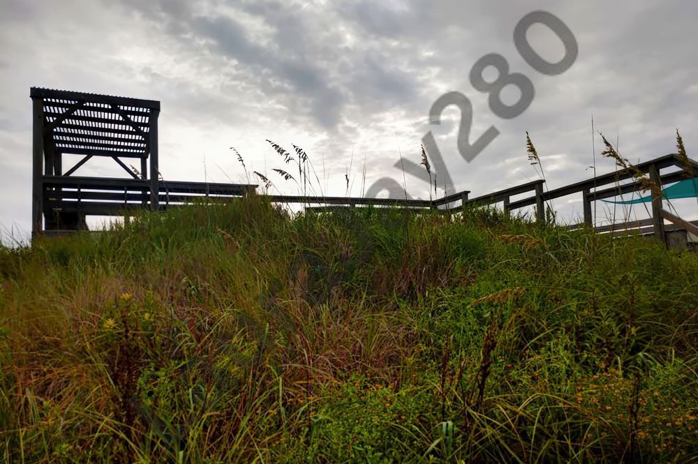 The Pelican Dunes, SC