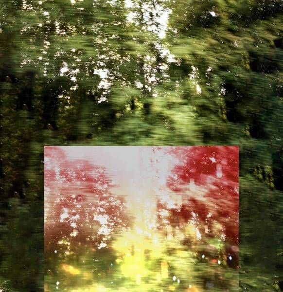 Trees Diptych 1