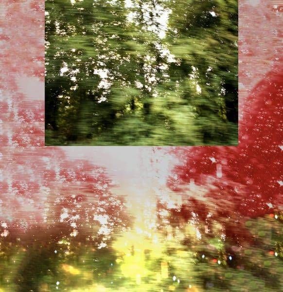 Trees Diptych 2