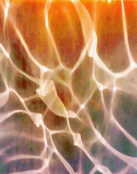 Backyard Pool Series, 4