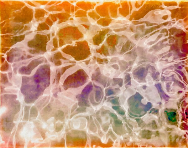 Backyard Pool Series, 1