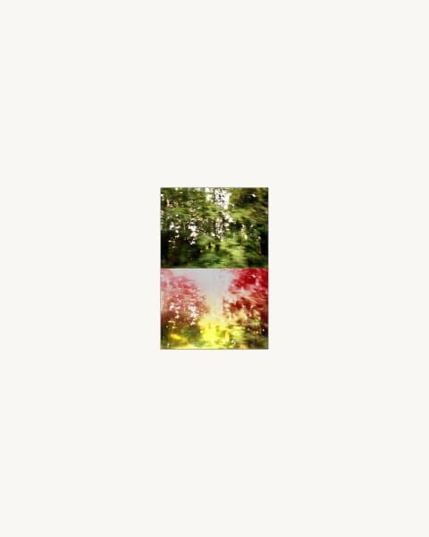 Trees Diptych