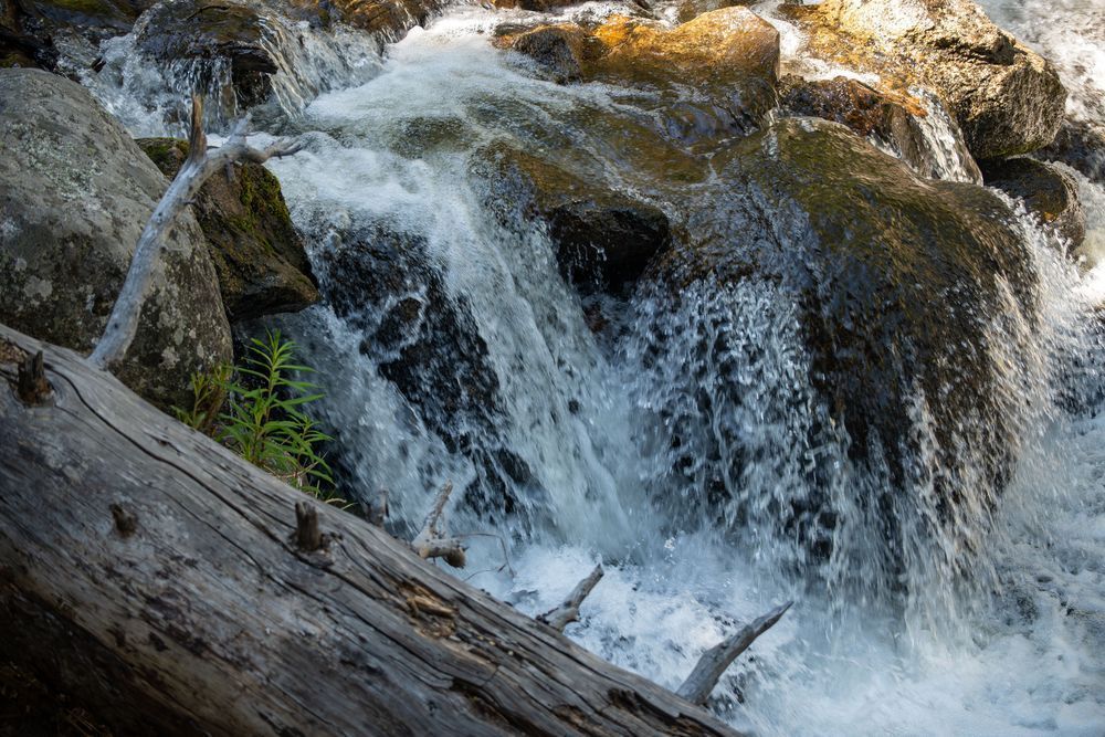 61625 0084 Photography Art | Lazy J Z Photography