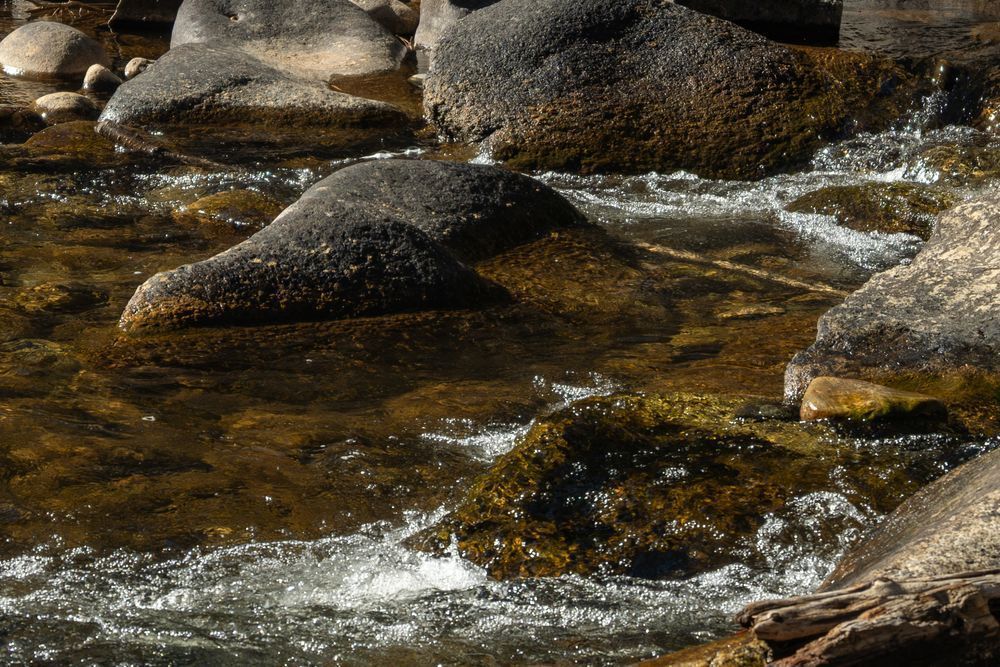 7 Photography Art | Lazy J Z Photography