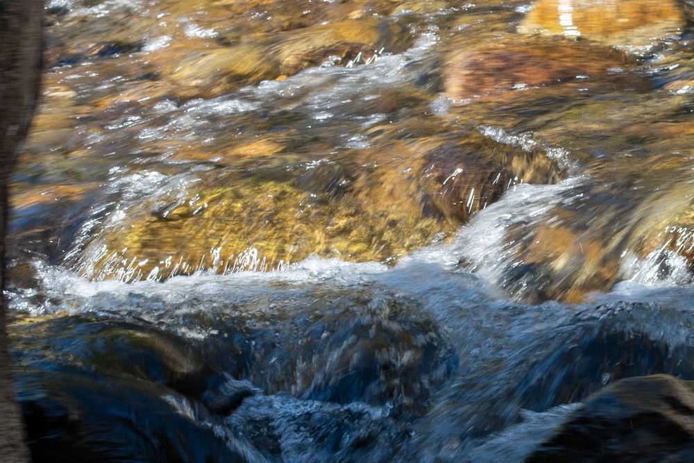 43 Photography Art | Lazy J Z Photography