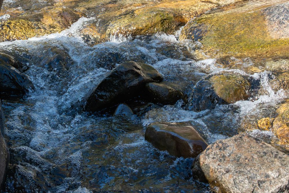 40 Photography Art | Lazy J Z Photography