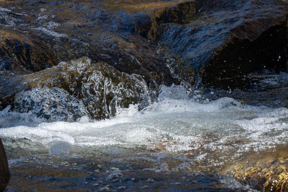 54 Photography Art | Lazy J Z Photography