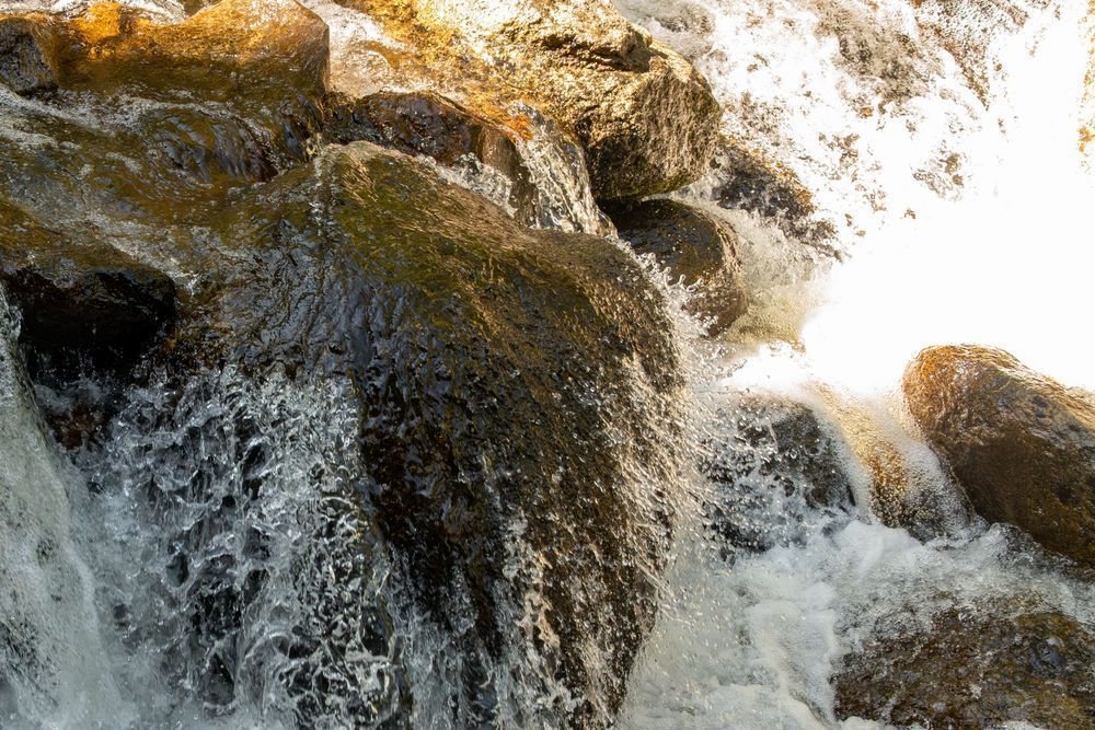 55 Photography Art | Lazy J Z Photography