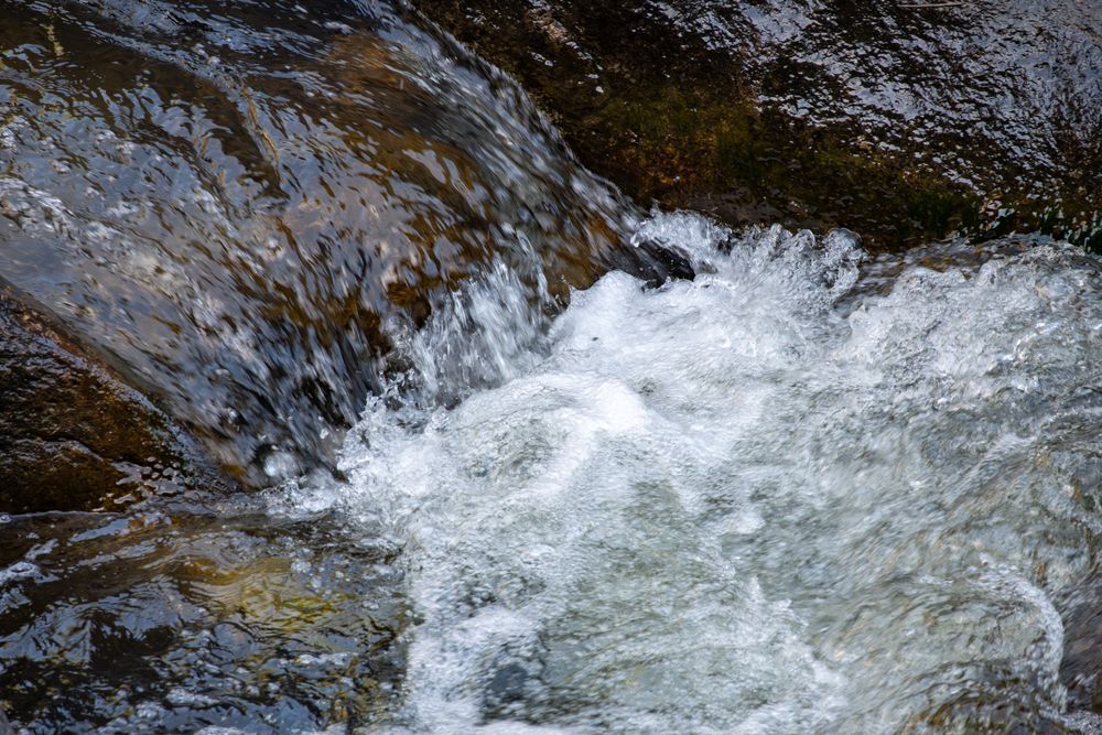 51 Photography Art | Lazy J Z Photography