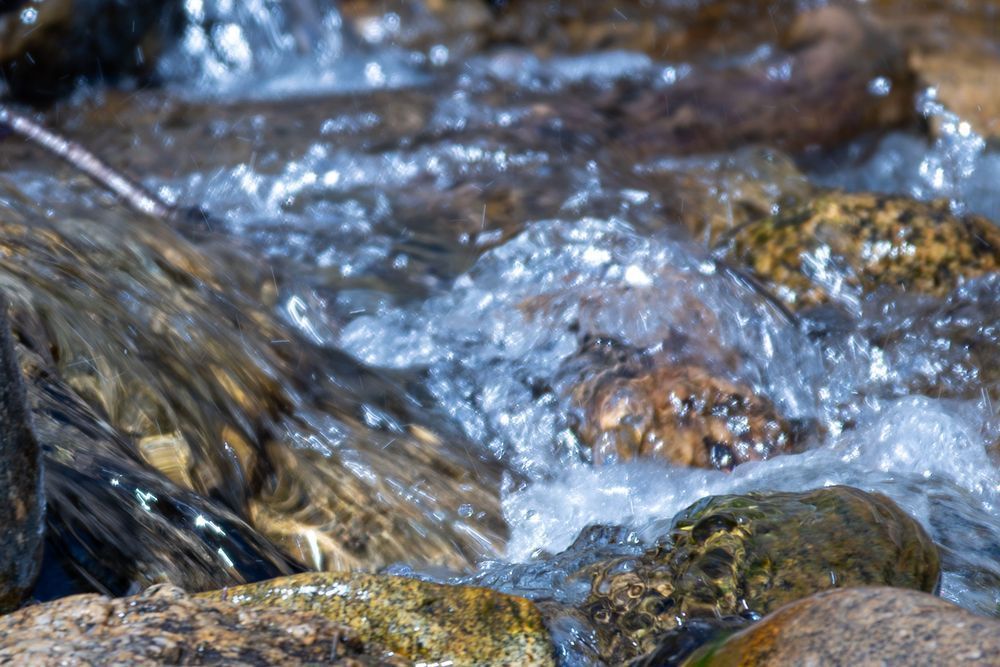 23 Photography Art | Lazy J Z Photography