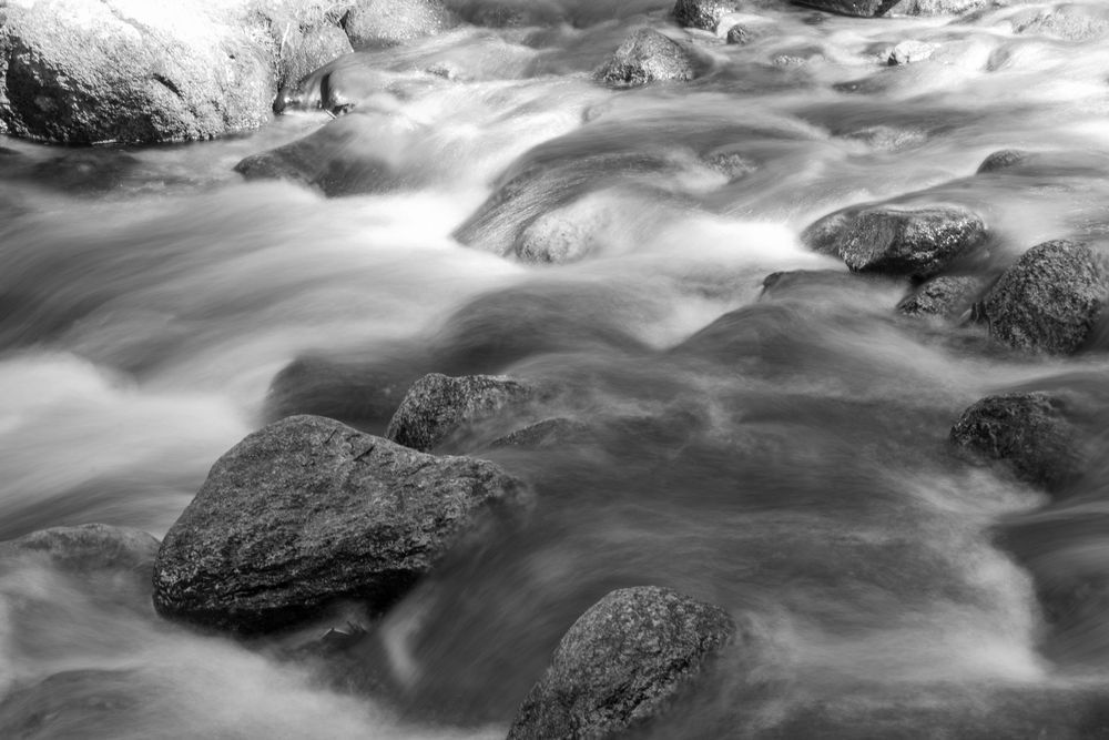 20250616 Untitled 14 2 Photography Art | Lazy J Z Photography