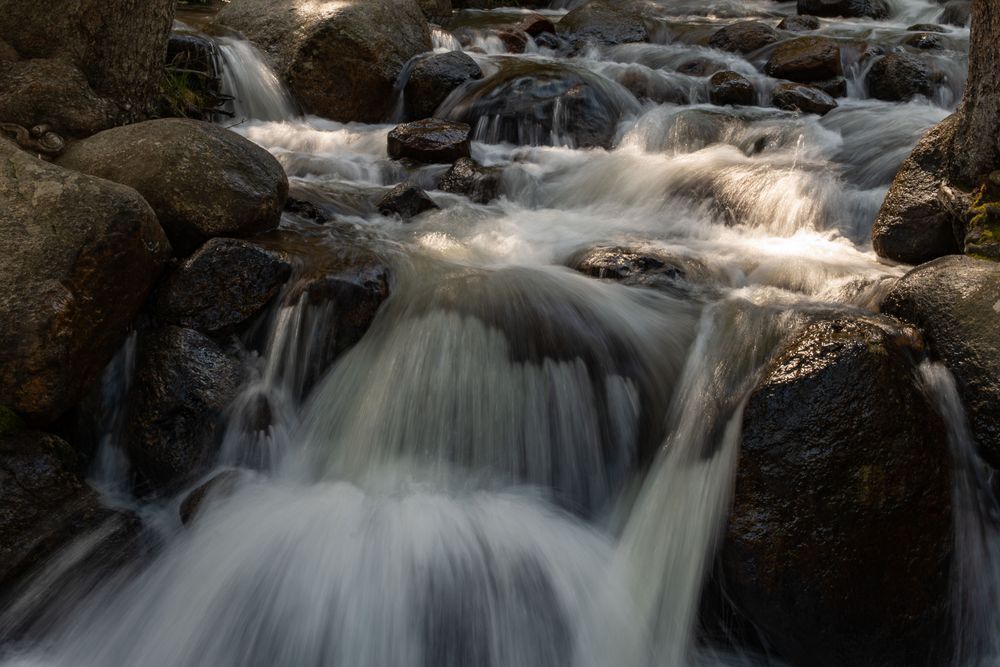 20250616 61625 0009 Photography Art | Lazy J Z Photography