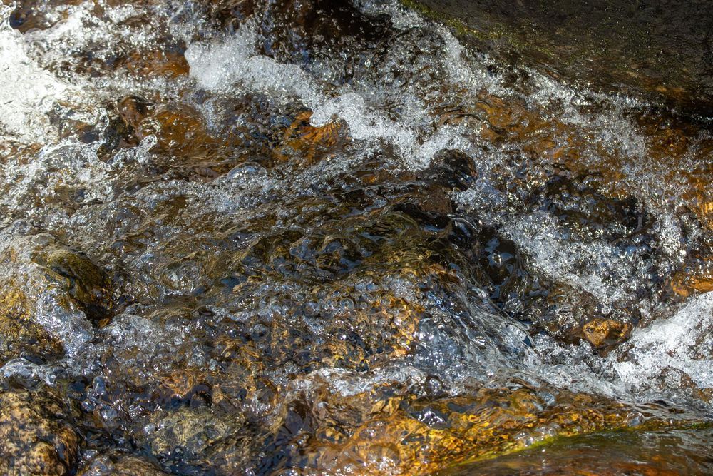 20250504 Dsc 7110 2 2 Photography Art | Lazy J Z Photography