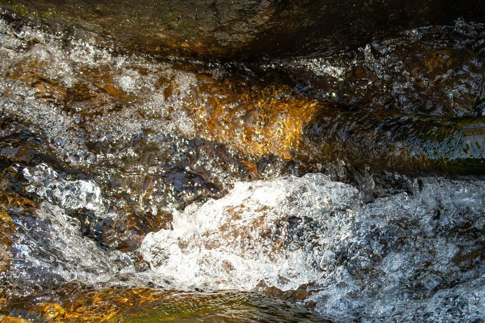 20250504 Dsc 7120 2 Photography Art | Lazy J Z Photography