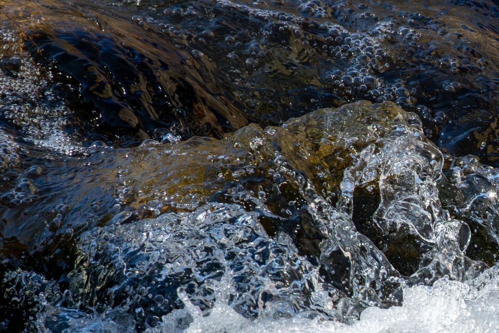20250504 Dsc 7380   Copy Photography Art | Lazy J Z Photography