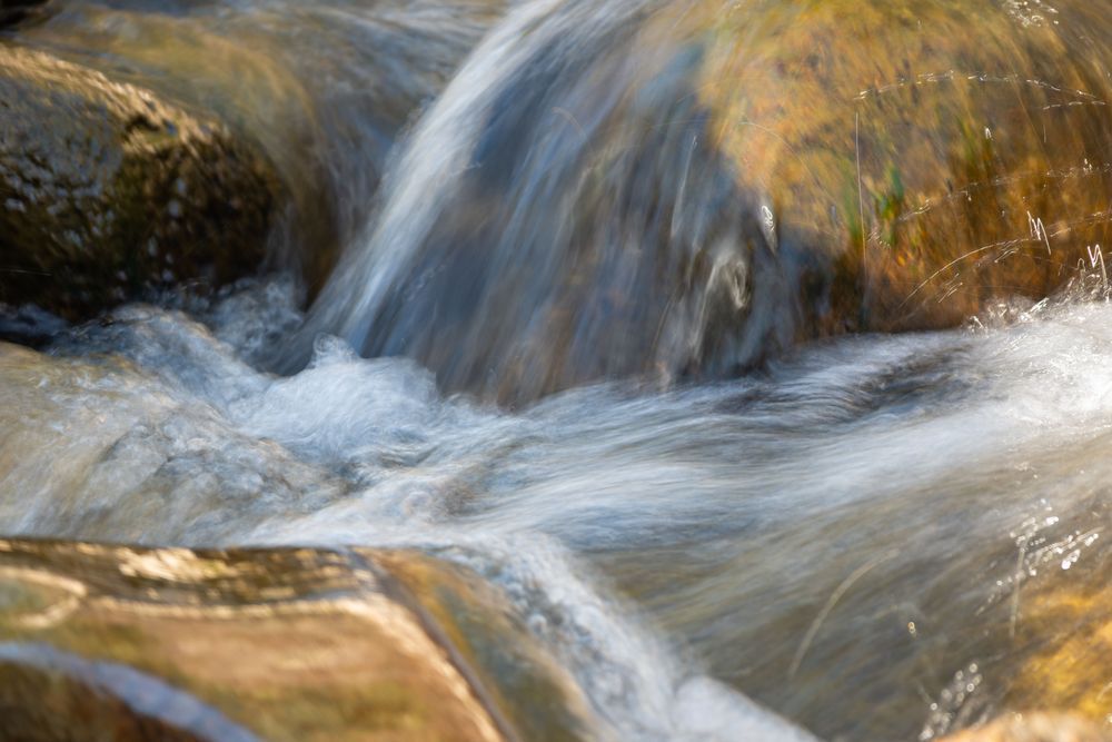 29 Photography Art | Lazy J Z Photography