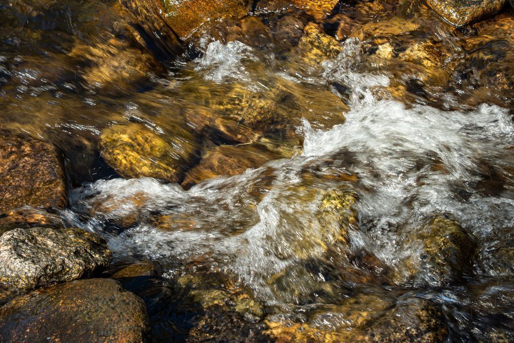 38 Photography Art | Lazy J Z Photography