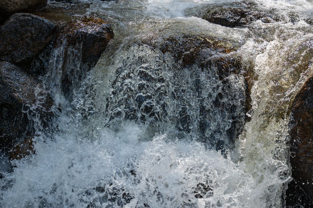 Untitled 177 Photography Art | Lazy J Z Photography