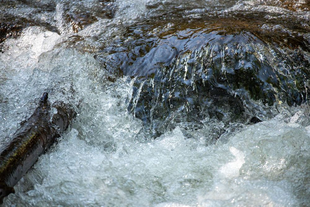Untitled 107 Photography Art | Lazy J Z Photography