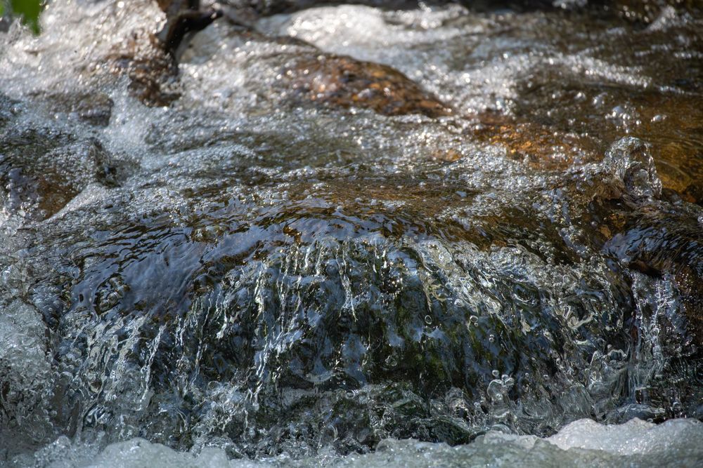 Untitled 110 Photography Art | Lazy J Z Photography