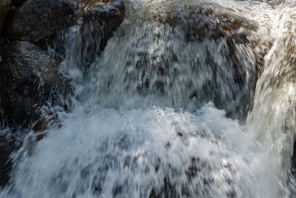 Untitled 186 Photography Art | Lazy J Z Photography