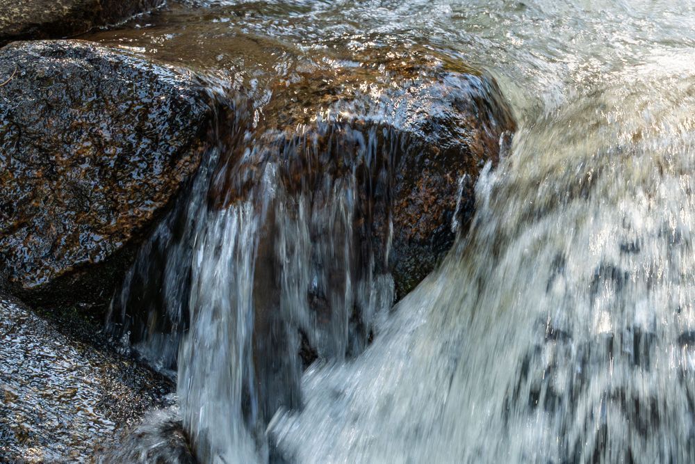 Untitled 183 Photography Art | Lazy J Z Photography