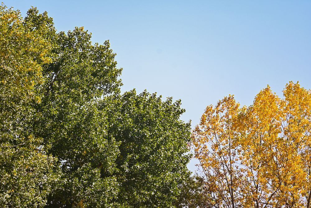 Fall16 Photography Art | Lazy J Z Photography