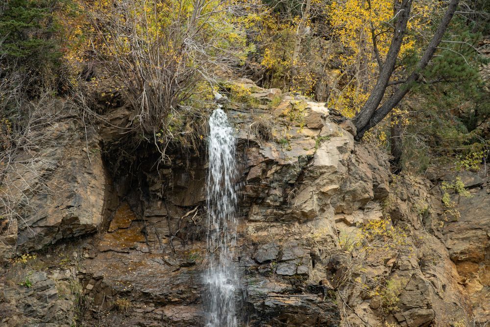 Fall 31 Photography Art | Lazy J Z Photography
