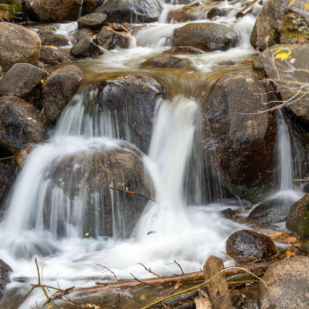 Fall 24 Photography Art | Lazy J Z Photography
