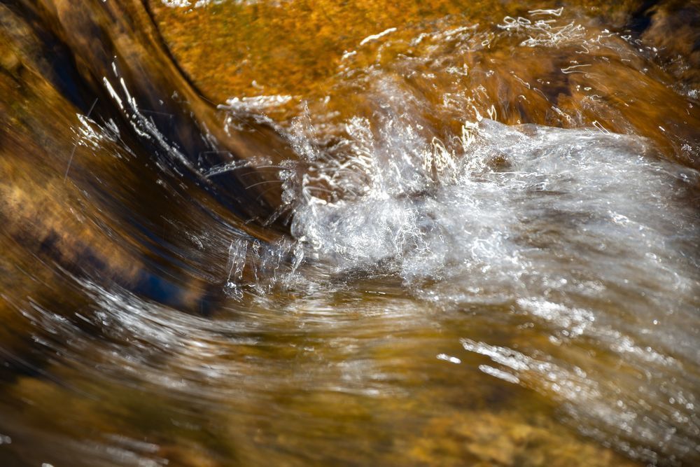 Dsc 7046 2 2 Photography Art | Lazy J Z Photography