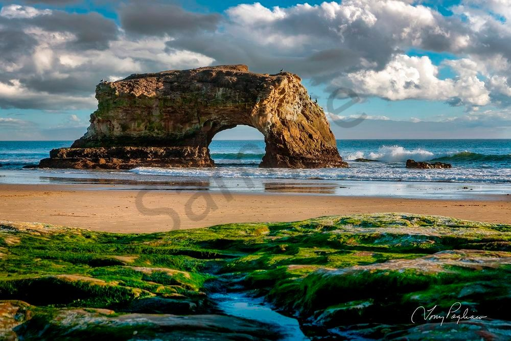 Golden Passage Art | Tony Pagliaro Gallery