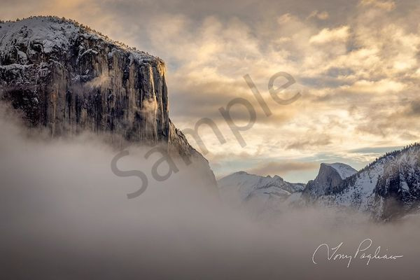 The Magnificent Mystic Art | Tony Pagliaro Gallery