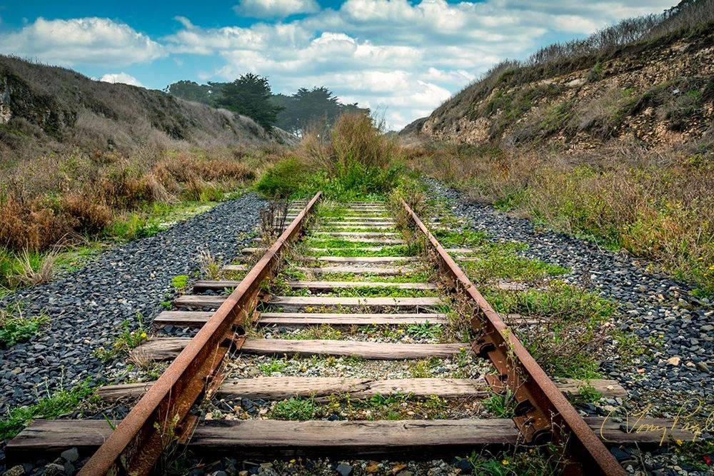 End Of The Line Art | Tony Pagliaro Gallery