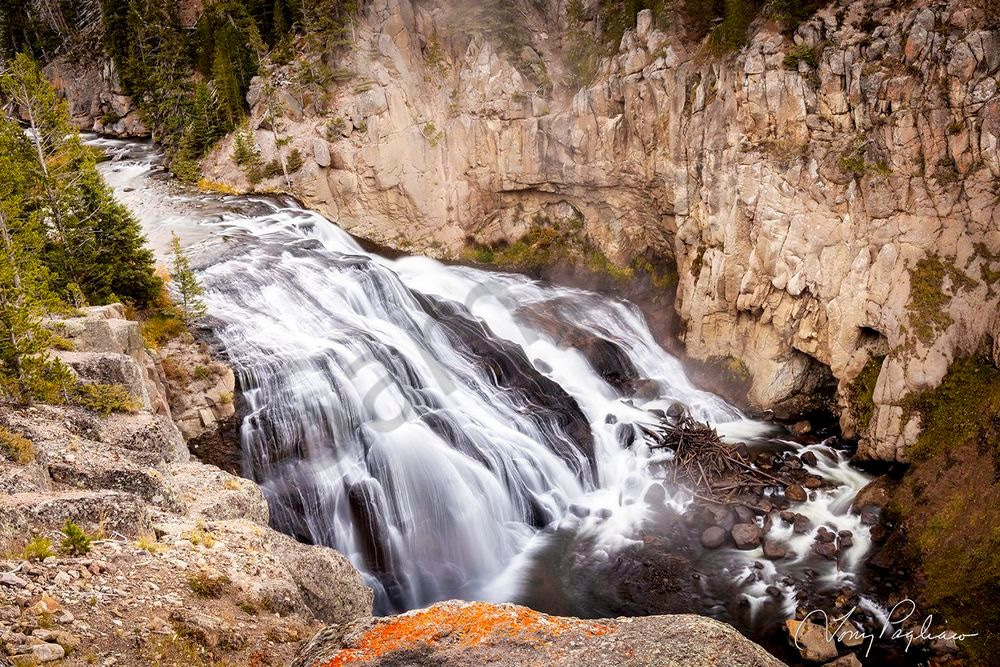 Gibbons Waterfall Art | Tony Pagliaro Gallery