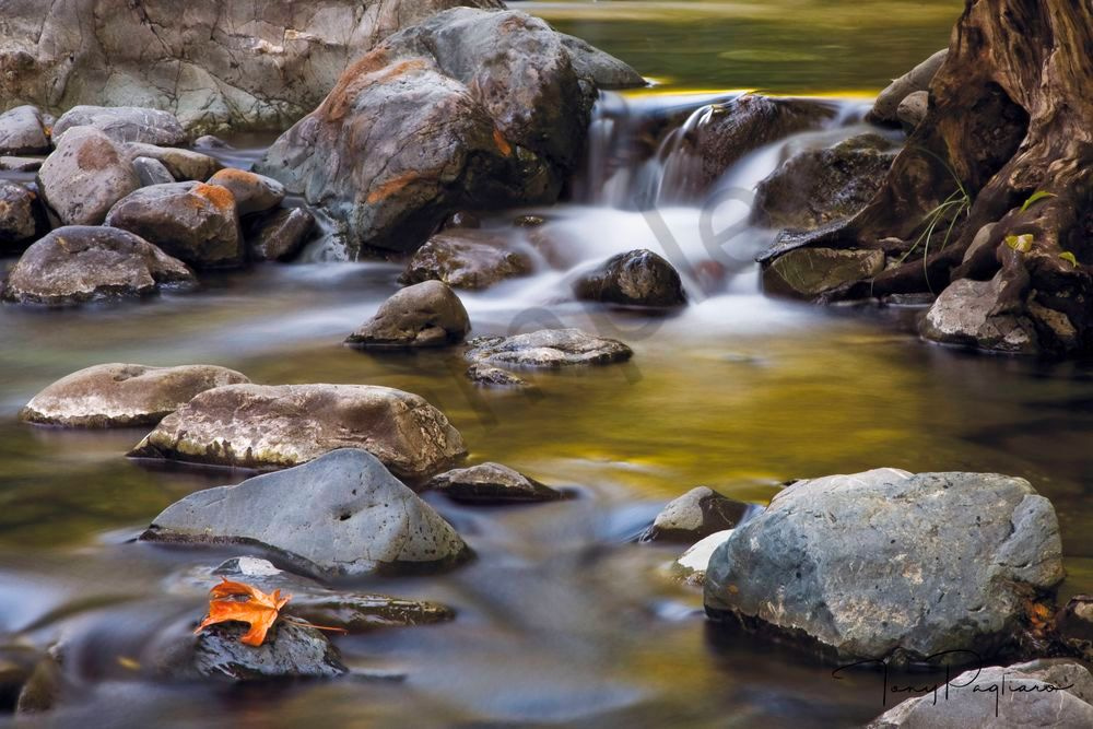 Dobbyns Creek photograph for sale as fine art by Tony Pagliaro