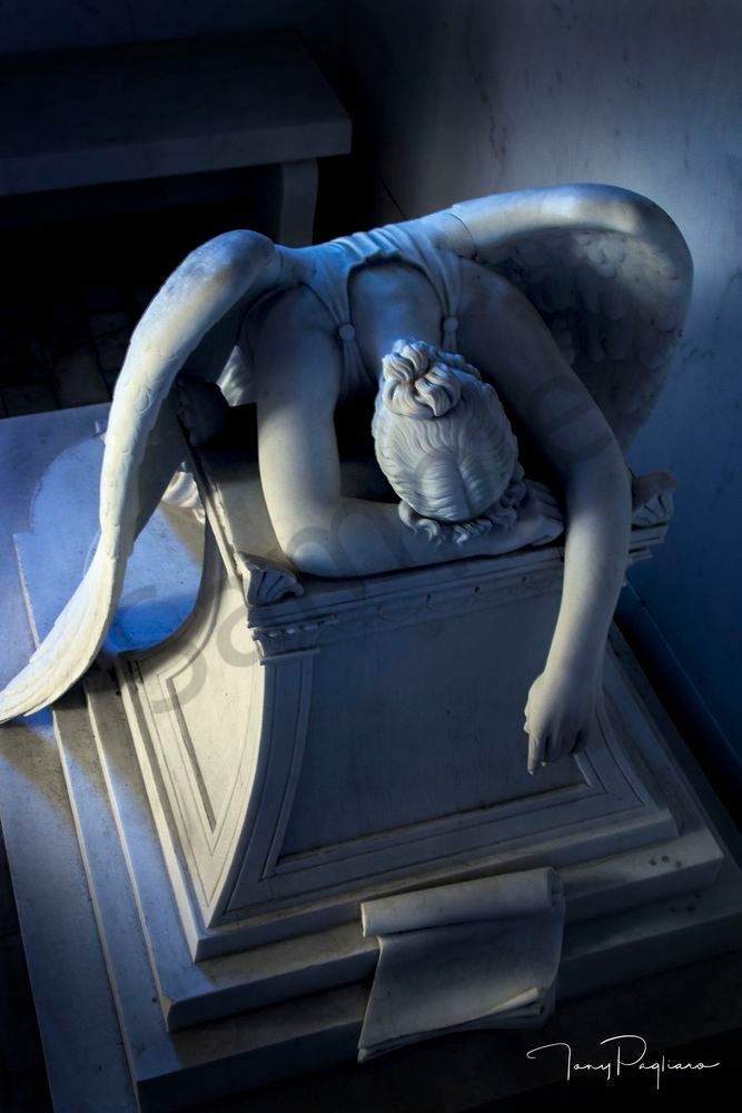 Weeping Angel 2 Art | Tony Pagliaro Gallery