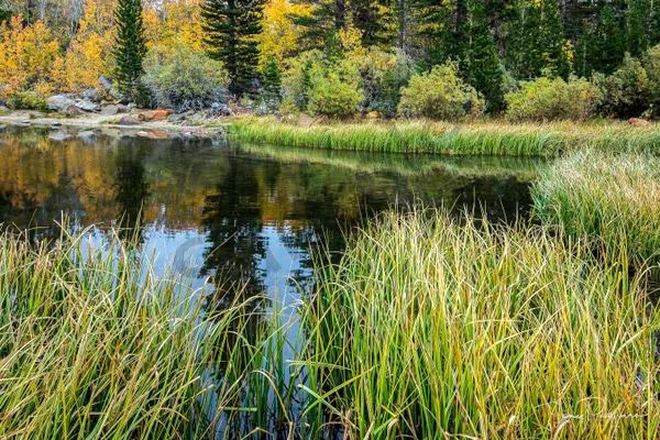 Fisherman's Dream Art | Tony Pagliaro Gallery