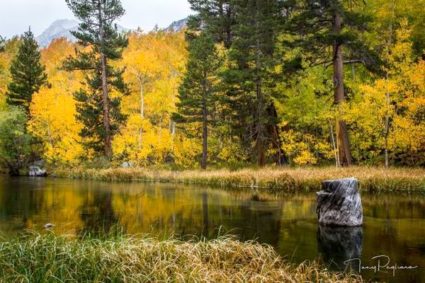 Grandpas Fishin Hole photograph for sale as fine art by Tony Pagliaro