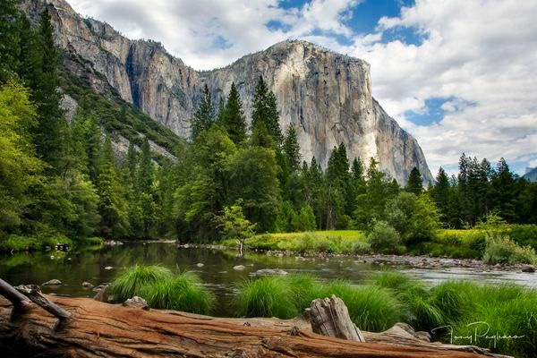 El Capitan Fine Art Photograph for sale by Tony Pagliaro