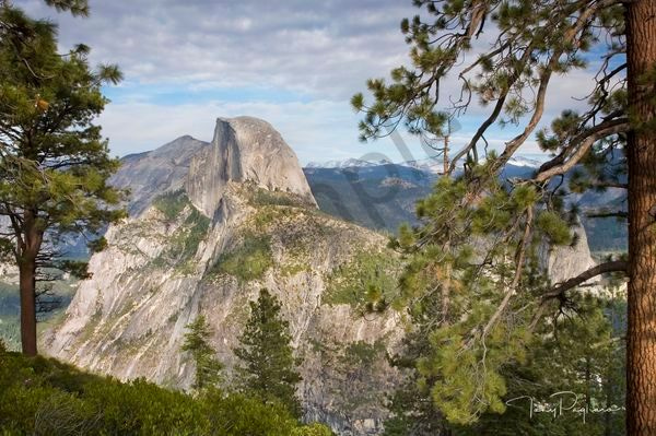 Half Dome Photograph for sale as fine art by Tony Pagliaro